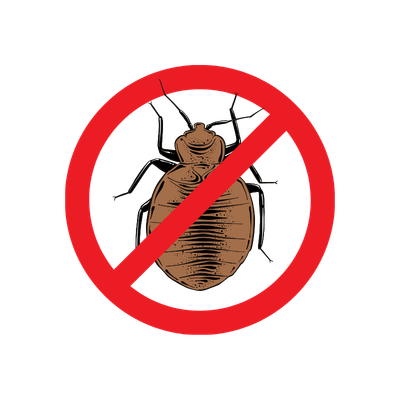 Bed Bug pest control service